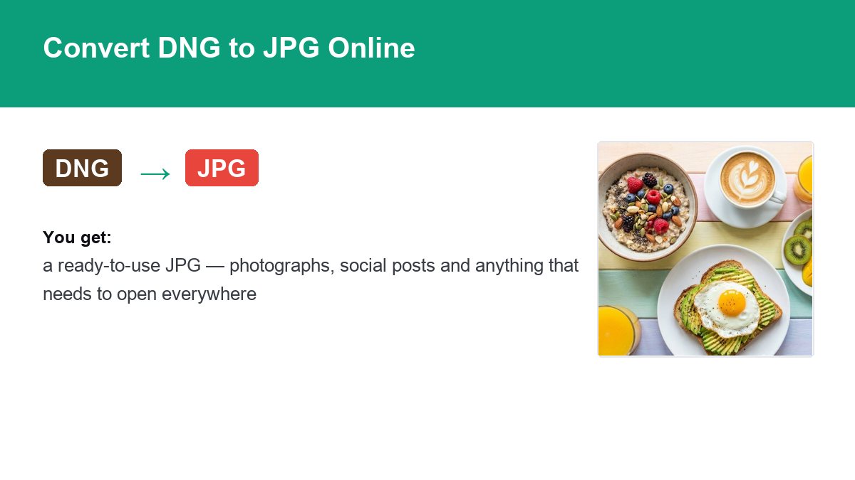 Converting DNG to JPG with img.now