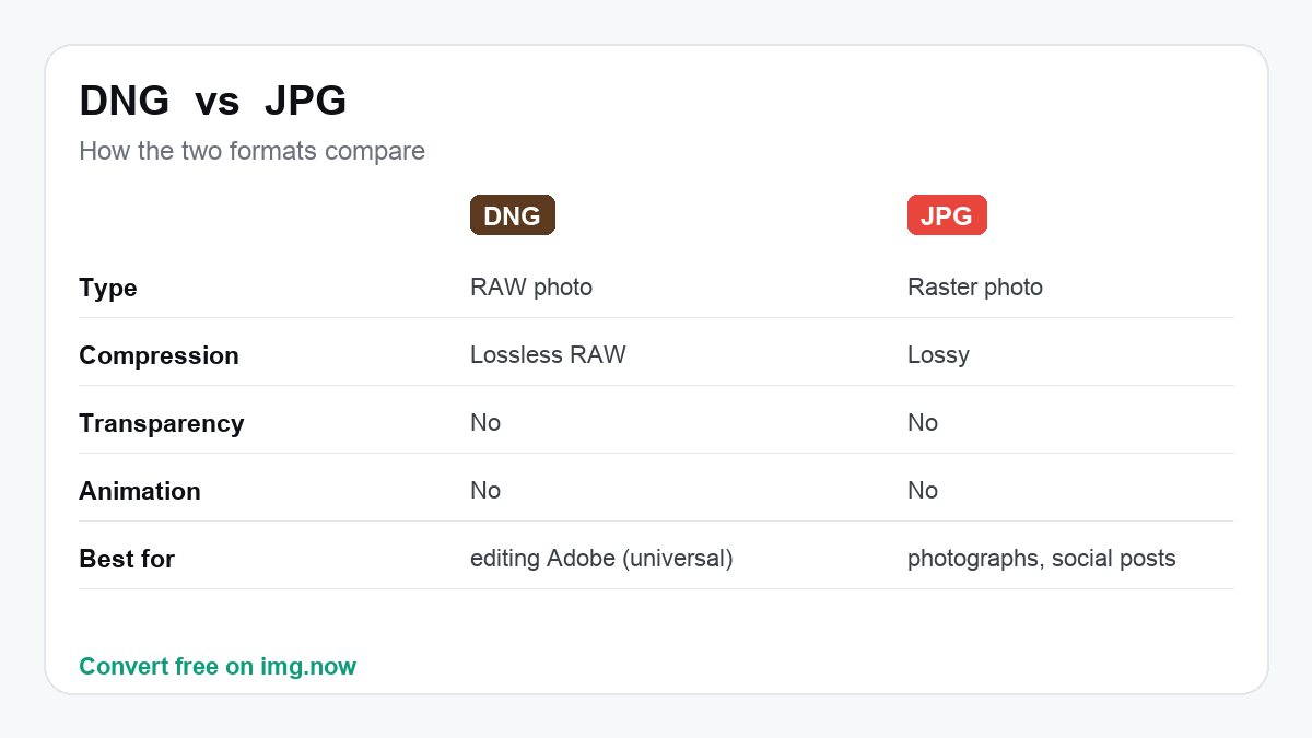 DNG vs JPG: format comparison