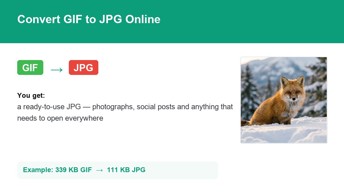 Converting GIF to JPG with img.now