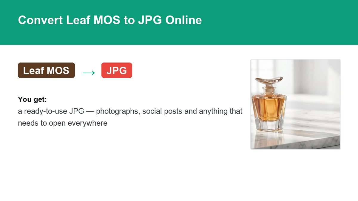 Converting Leaf MOS to JPG with img.now
