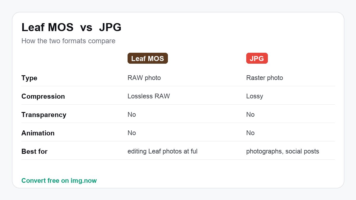 Leaf MOS vs JPG: format comparison