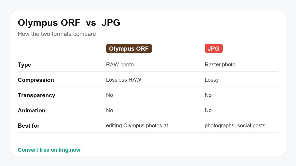 Olympus ORF vs JPG: format comparison