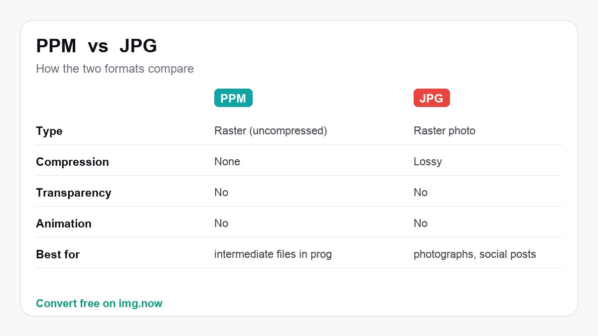 PPM vs JPG: format comparison