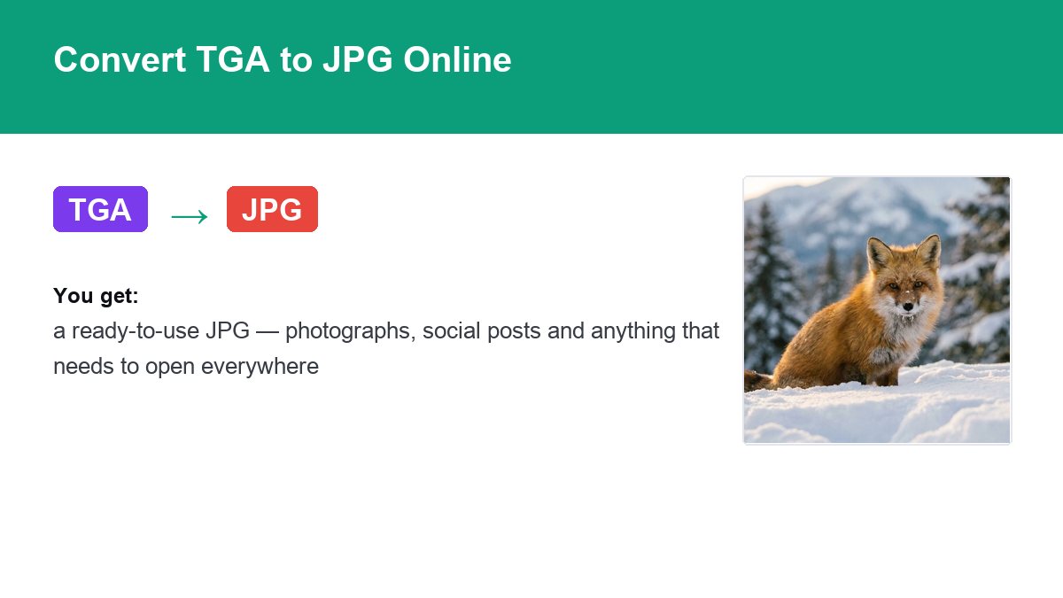 Converting TGA to JPG with img.now