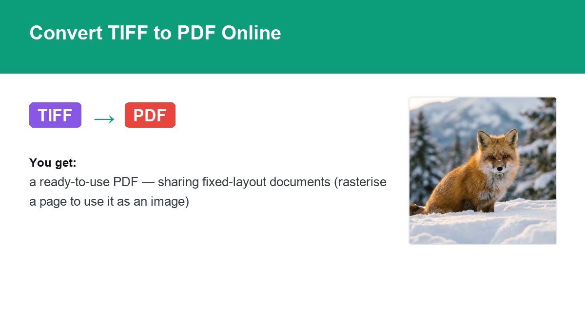 Converting TIFF to PDF with img.now