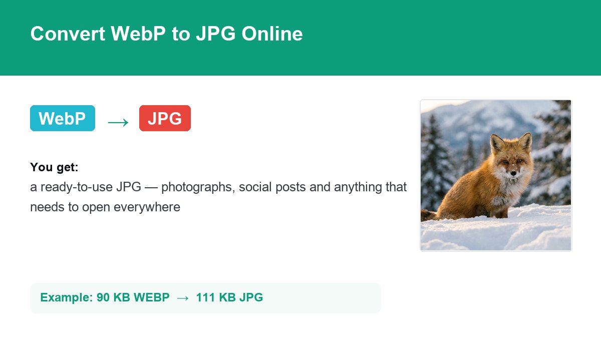 Converting WebP to JPG with img.now