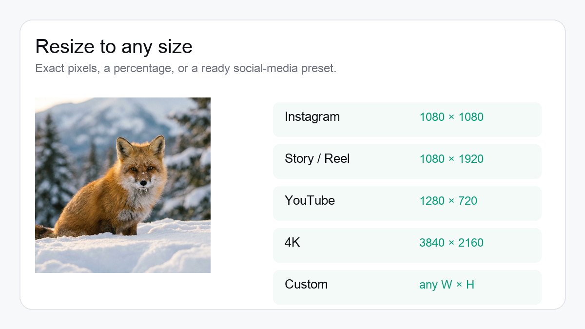 Every size you need example created with the Image Resizer